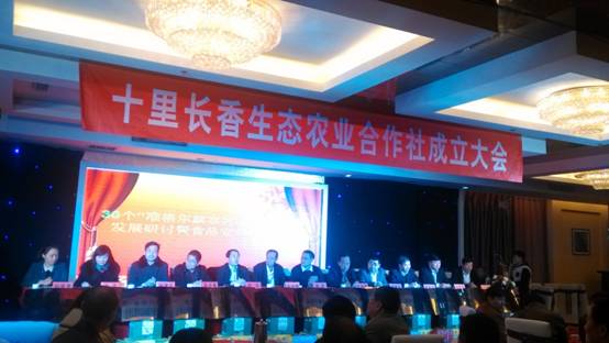 走過(guò)十里長(cháng)川，拉開(kāi)“十里長(cháng)香”品牌的序幕