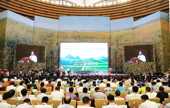 內蒙古龍頭企業(yè)協(xié)會(huì )應邀出席廣西農業(yè)項目合作洽談暨科技成果展示對接會(huì )