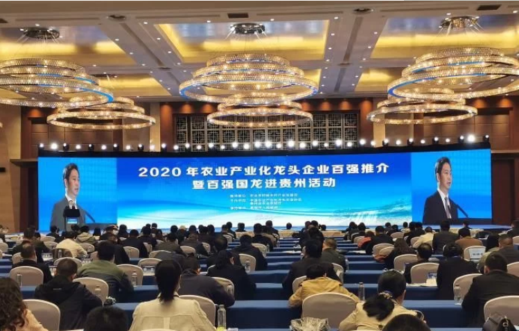 2020年農業(yè)產(chǎn)業(yè)化龍頭企業(yè)百強名單發(fā)布協(xié)會(huì )副會(huì )長(cháng)單位伊利集團、蒙牛乳業(yè)等多家企業(yè)榜上有名！